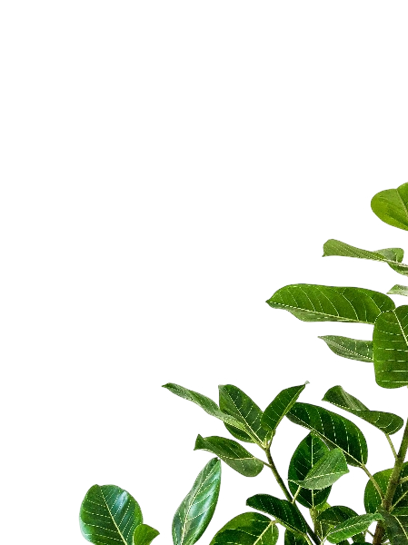 Botanical Leaf Bottom Right