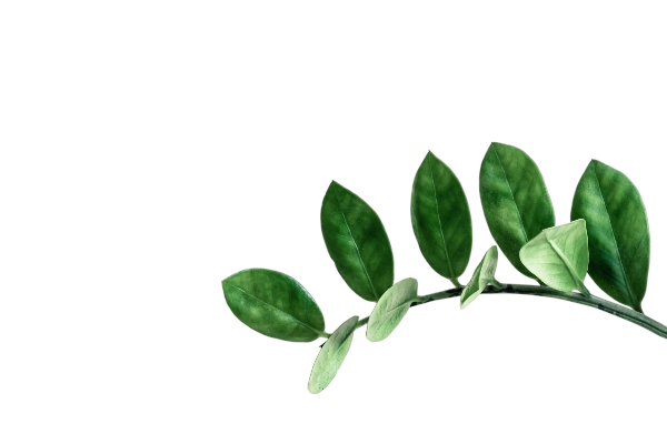 Botanical Leaf Right